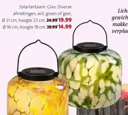 Intratuin Solarlantaarn. Glas aanbieding