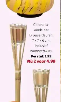 Intratuin Citronella- kandelaar. Diverse kleuren, 7x7 x 6 cm, inclusief bamboefakkel. aanbieding