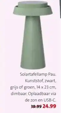 Intratuin Solartafellamp Pau. aanbieding