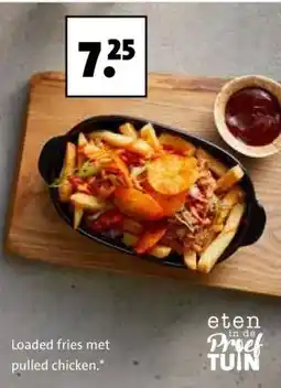 Intratuin Loaded fries met pulled chicken.* aanbieding