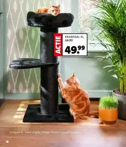 Intratuin KRABPAAL XL aanbieding