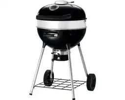 Hornbach NAPOLEON Houtskool barbecue Pro RVS 57 cm aanbieding