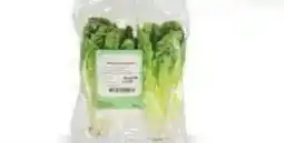 Ekoplaza LITTLE GEM BINDSLA aanbieding