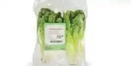 Ekoplaza LITTLE GEM BINDSLA aanbieding