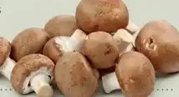 Ekoplaza KASTANJE CHAMPIGNONS aanbieding
