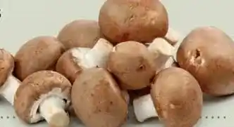 Ekoplaza KASTANJE CHAMPIGNONS aanbieding
