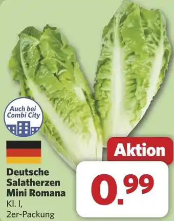 Combi Deutsche Salatherzen Mini Romana aanbieding