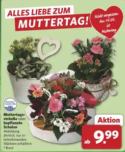 Combi Muttertags- sträuße oder bepflanzte Schalen aanbieding