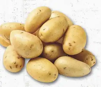 Combi Deutsche Speise kartoffeln aanbieding