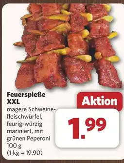 Combi Feuerspieße XXL aanbieding