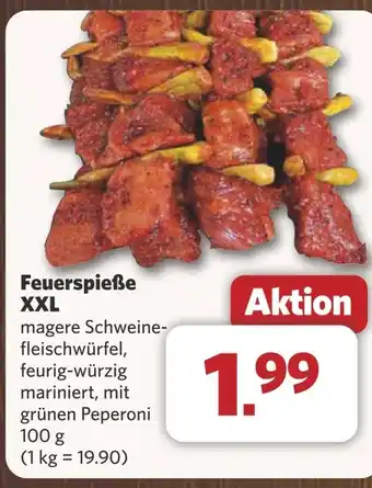 Combi Feuerspieße XXL aanbieding