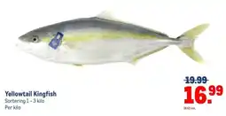 Makro Yellowtail Kingfish aanbieding