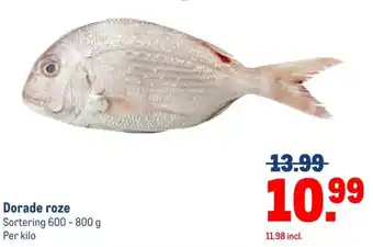 Makro Dorade roze aanbieding