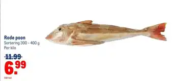 Makro Rode poon aanbieding