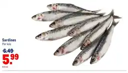 Makro Sardines aanbieding