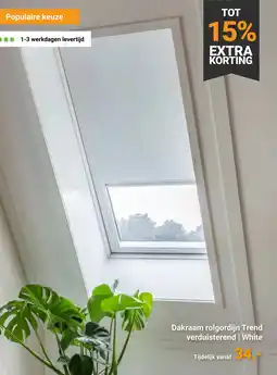 Raamdecoratie.com Dakraam rolgordijn Trend verduisterend | White aanbieding