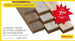 Praxis LAMINAAT TREND EIK TITAN, ZOMER EIK OF LICHTGRIJS EIK aanbieding