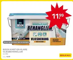 Praxis BISON KANT-EN-KLARE VLIESBEHANGLIJM aanbieding