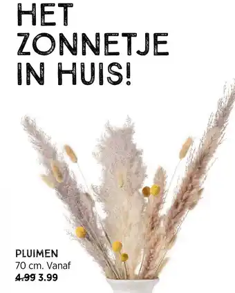 Xenos Pluimen aanbieding