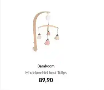 Babypark Bamboom aanbieding