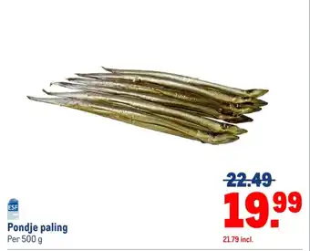 Makro Pondje paling aanbieding