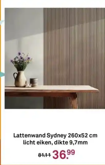 Karwei Lattenwand Sydney aanbieding