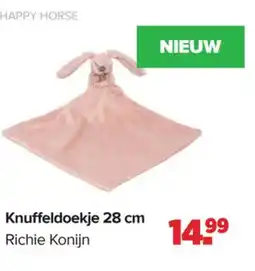 Baby-Dump Knuffeldoekje aanbieding