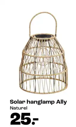 Kwantum Solar hanglamp Ally aanbieding