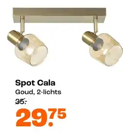 Kwantum Spot Cala aanbieding