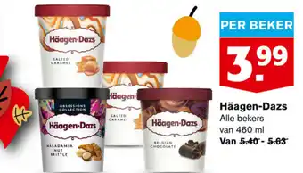 Hoogvliet Haagen-Dasz 460ml aanbieding