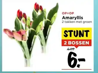 Vomar Voordeelmarkt Amaryllis 2 bossen aanbieding