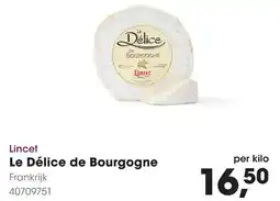 HANOS Lincet Le Délice de Bourgogne Frankrijk aanbieding