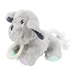 Zooplus Trixie Junior Hond met Touw ca. 24 cm aanbieding