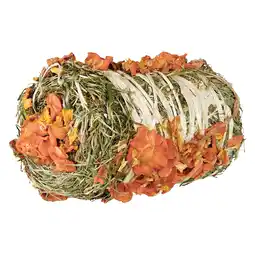 Zooplus 200g Trixie Hooi Baal met Pompoen en Wortel Kleine Dierensnack aanbieding