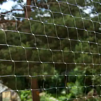 Zooplus 3x2m Kattennet Balkongaas Transparant aanbieding