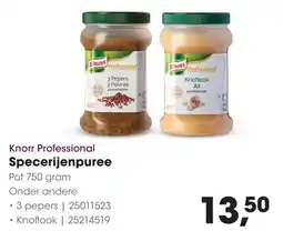 HANOS Knorr Professional Specerijenpuree aanbieding