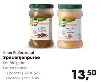 HANOS Knorr Professional Specerijenpuree aanbieding