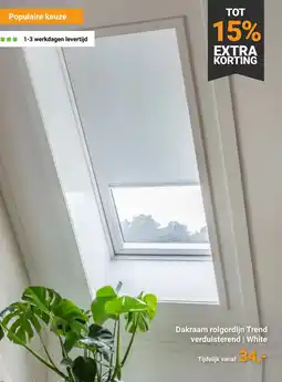 Raamdecoratie.com Dakraam rolgordijn Trend verduisterend | White aanbieding