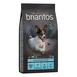 Zooplus Briantos Adult Mini Zalm & Aardappel - Graanvrij Hondenvoer - 2 x 12 kg aanbieding