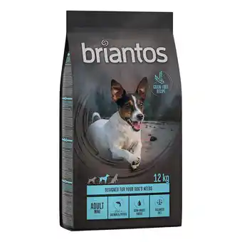 Zooplus Briantos Adult Mini Zalm & Aardappel - Graanvrij Hondenvoer - 2 x 12 kg aanbieding