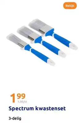 Action Spectrum kwastenset aanbieding