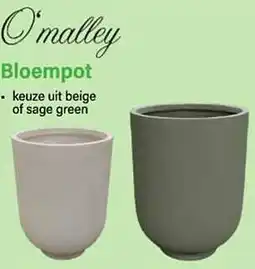 Van Cranenbroek Bloempot aanbieding