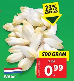 Lidl Witlof aanbieding
