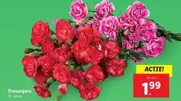 Lidl Trosanjers aanbieding