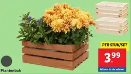 Lidl Plantenbak aanbieding