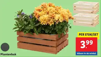 Lidl Plantenbak aanbieding