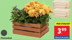 Lidl Plantenbak aanbieding