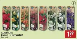 ALDI Gardenline Balkon of Terrasplant aanbieding
