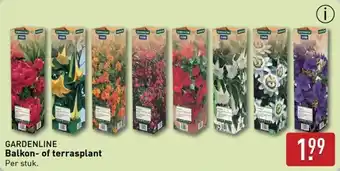 ALDI Gardenline Balkon of Terrasplant aanbieding