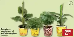 ALDI Tomaten, Aardbeien of Koffiebonenplant aanbieding